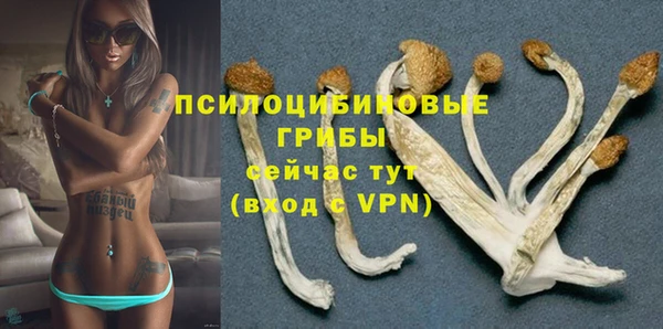 трава Верея
