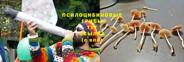 эйфоретик Бронницы