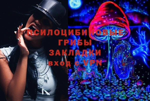 прущая мука Бородино